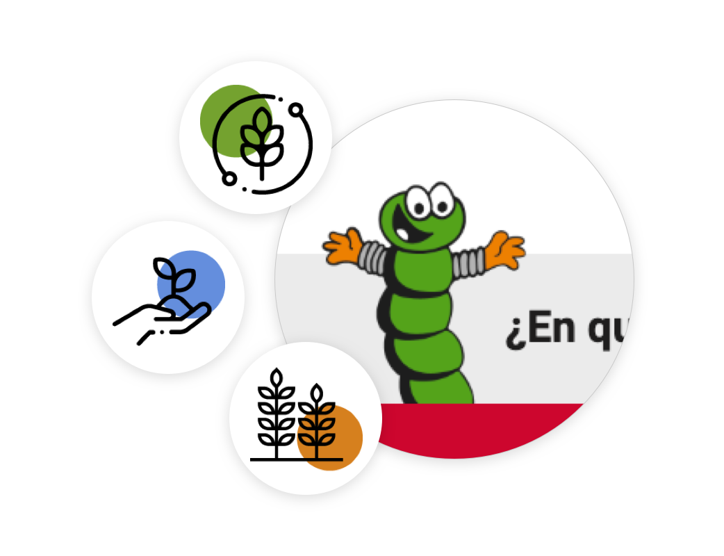 elements-graficos-web-cupasa