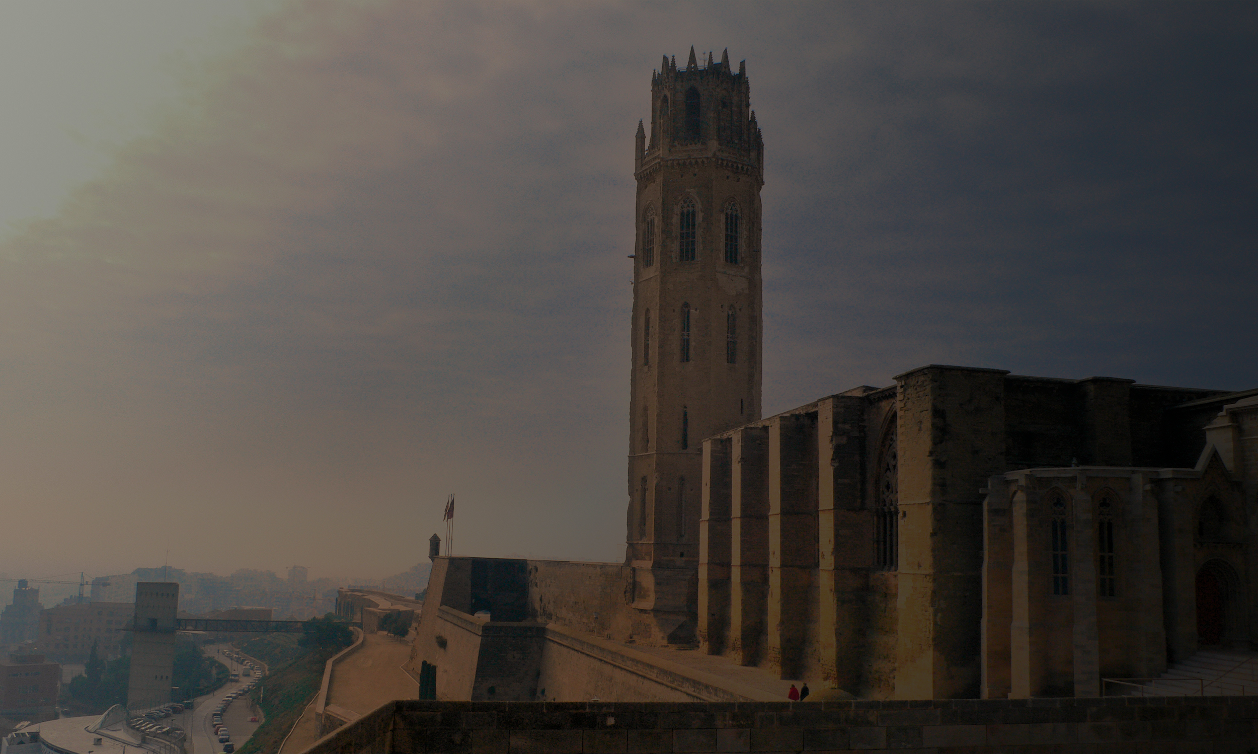 miniatura-proyecto-software-encuestas-lleida