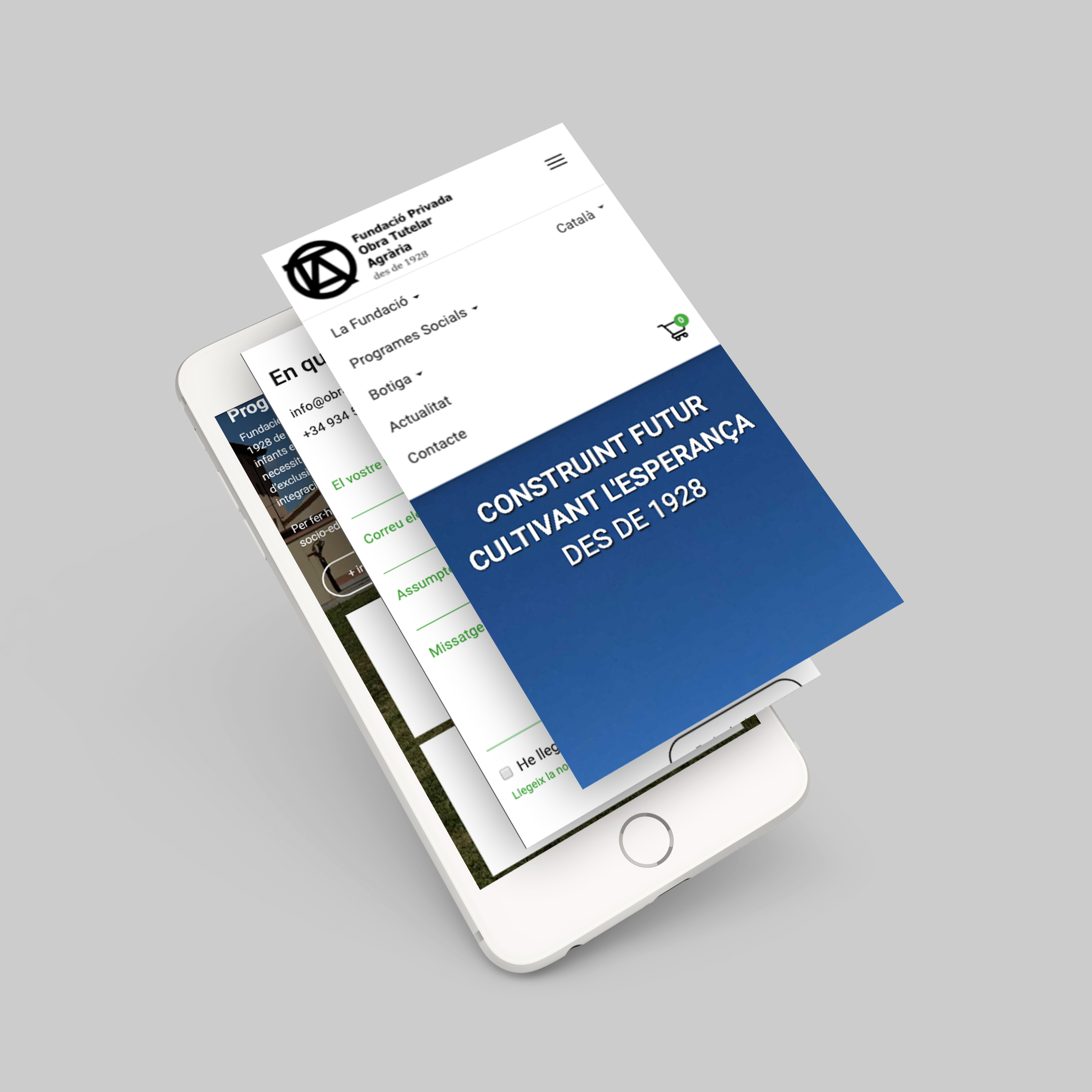 diseño-web-ecommerce-responsive