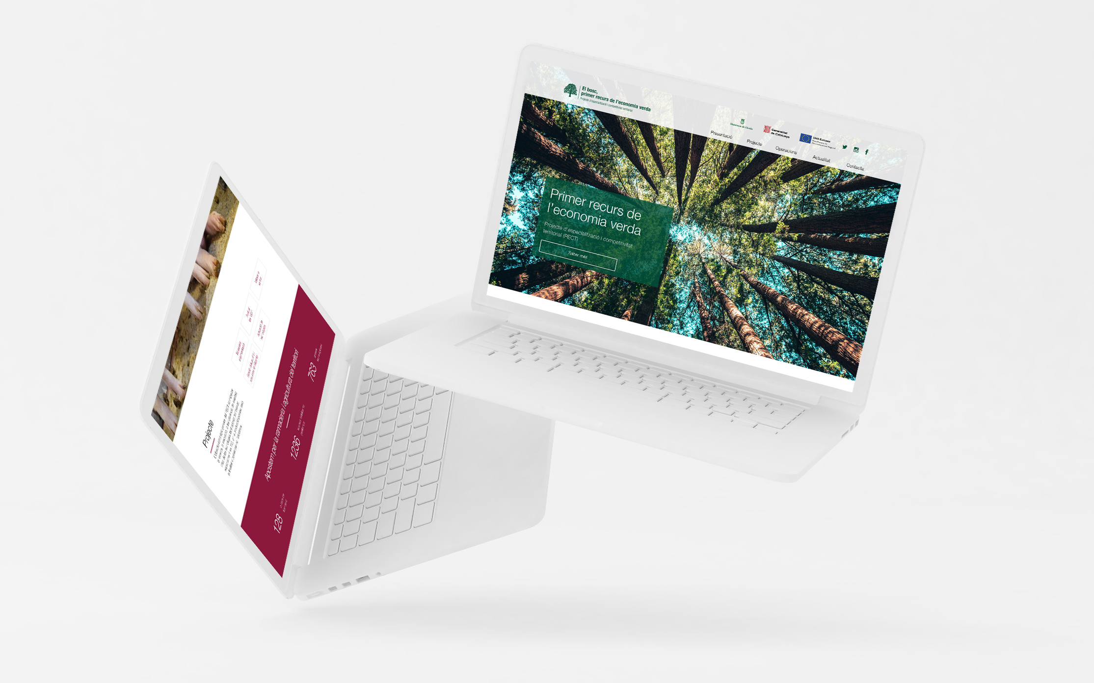 mockup-proyectos-web-pects