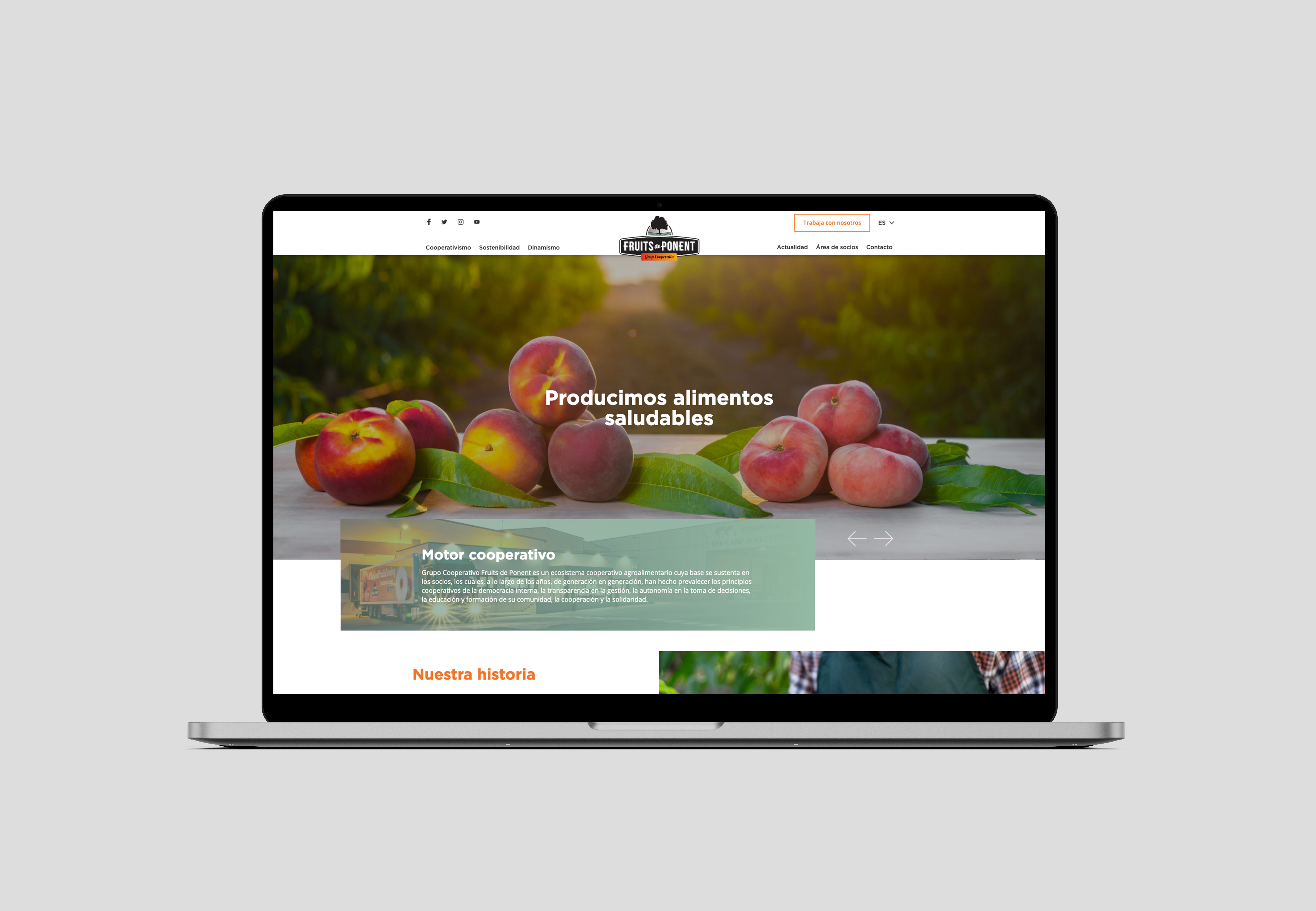mockup-web-fruits-ponent