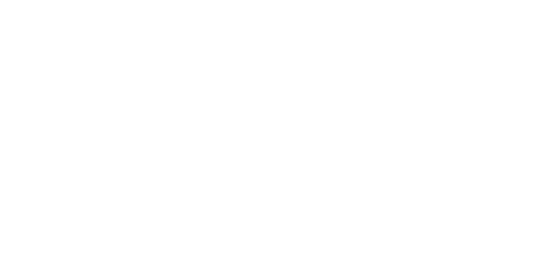 Pinsos Ursa