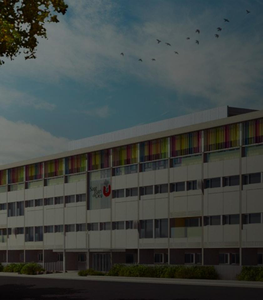 miniatura-proyecto-web-sjd