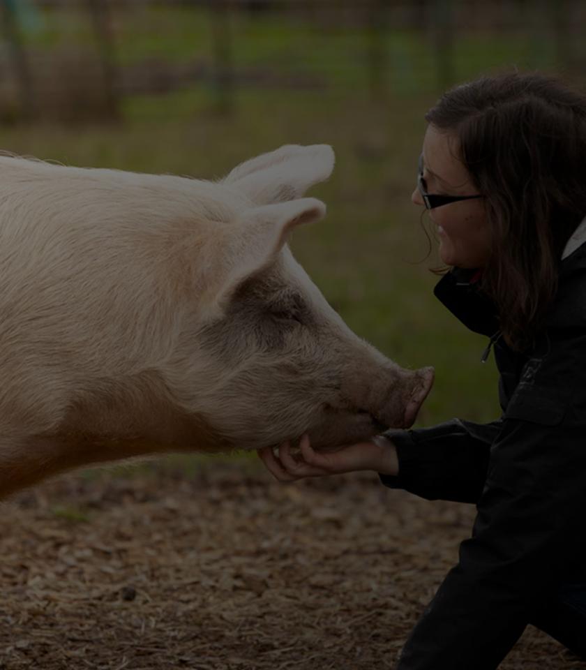 miniatura-proyecto-app-software-oep