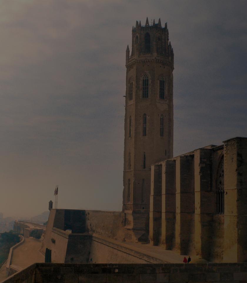 miniatura-proyecto-software-encuestas-lleida