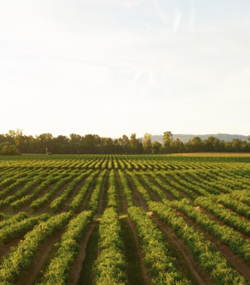 portada-proyecto-web-ecommerce-ota