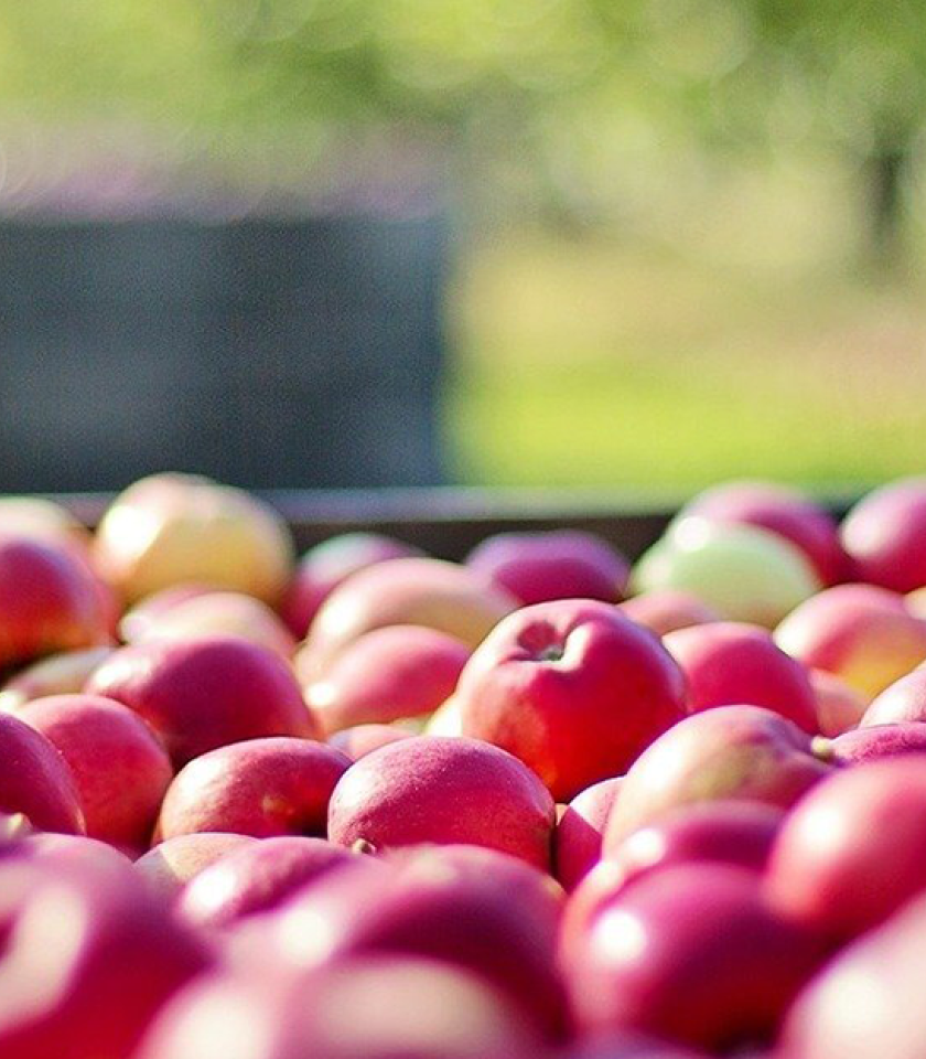 Img-fruitsdeponent-fruta-interior