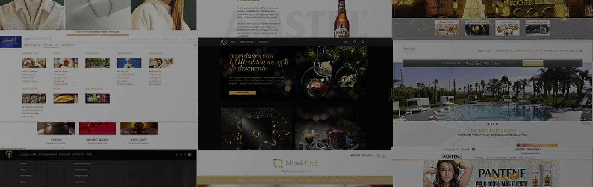 portada-webs-doradas