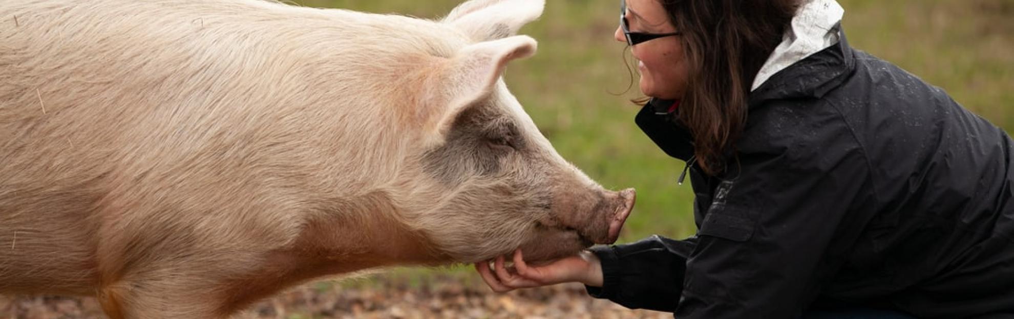 portada-proyecto-app-software-oep