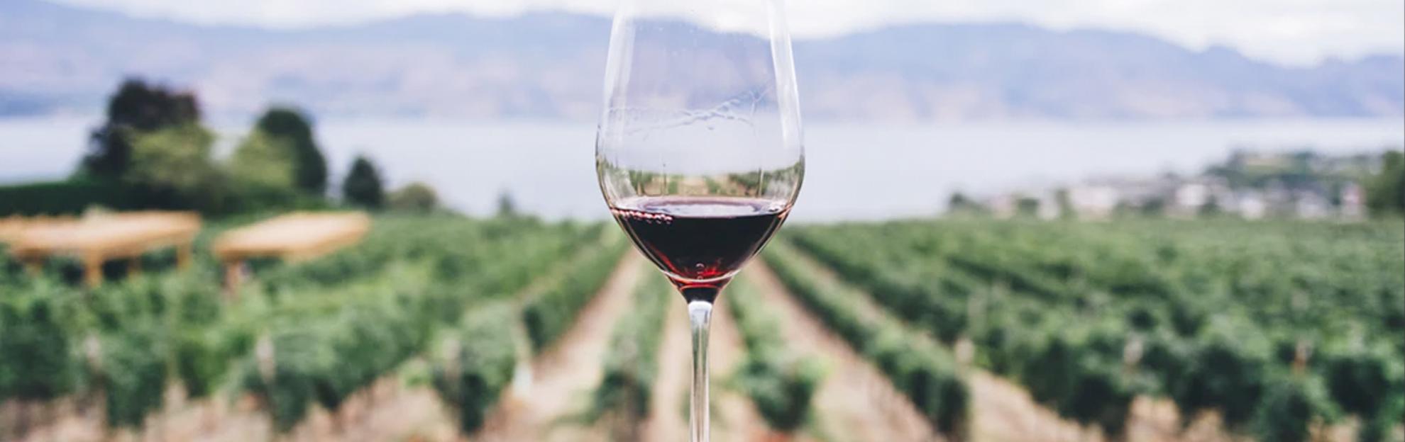 portada-proyecto-web-costers